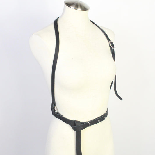 D-Ring Harness